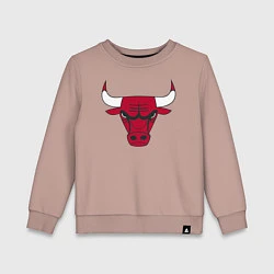 Детский свитшот Chicago Bulls
