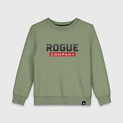 Детский свитшот Rogue Company