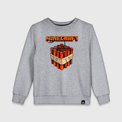Свитшот хлопковый детский Minecraft, цвет: меланж