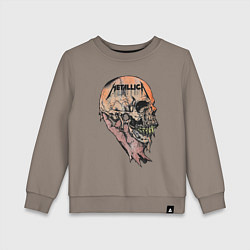 Свитшот хлопковый детский Metallica art 04, цвет: утренний латте
