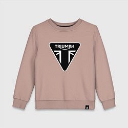 Детский свитшот Triumph Мото Лого Z