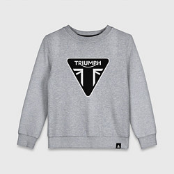 Свитшот хлопковый детский Triumph Мото Лого Z, цвет: меланж
