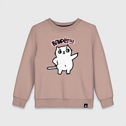 Свитшот хлопковый детский Кот впирёт, цвет: пыльно-розовый
