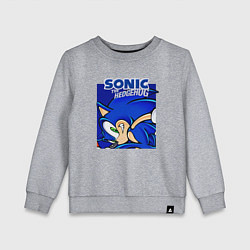 Детский свитшот Sonic Adventure Sonic