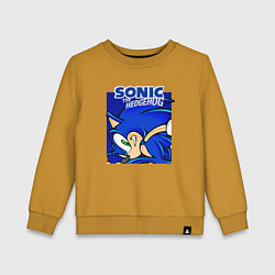 Детский свитшот Sonic Adventure Sonic