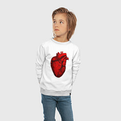 Свитшот хлопковый детский Сердце анатомическое, цвет: белый — фото 2