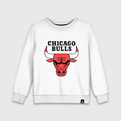 Детский свитшот Chicago Bulls