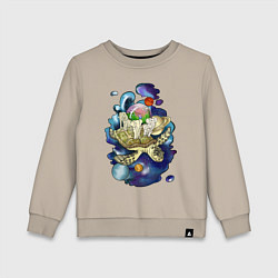 Детский свитшот Плоская земля - мир на черепахе