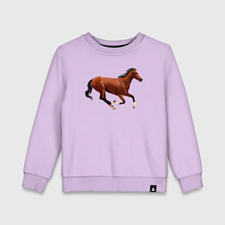 Свитшот хлопковый детский Чистокровная верховая лошадь, цвет: лаванда