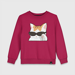 Свитшот хлопковый детский Бело-рыжий котик в очках, цвет: маджента