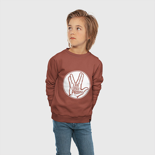 Детский свитшот Стар трек - Живи долго и процветай / Кирпичный – фото 4