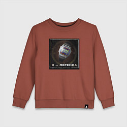 Свитшот хлопковый детский Часы Монтана - легенда, цвет: кирпичный