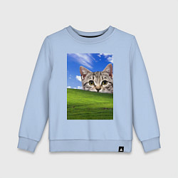 Свитшот хлопковый детский Кот и безмятежность в Windows XP, цвет: мягкое небо