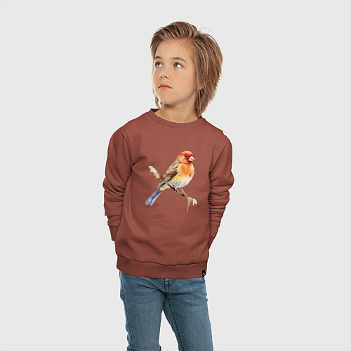 Детский свитшот Оранжевая птица на ветке / Кирпичный – фото 4