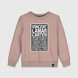 Детский свитшот Vince Carter