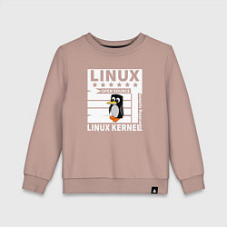 Детский свитшот Пингвин программист системы линукс