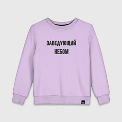 Свитшот хлопковый детский Заведующий небом, цвет: лаванда