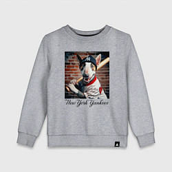 Свитшот хлопковый детский Bull terrier - New York yankees baseball team, цвет: меланж