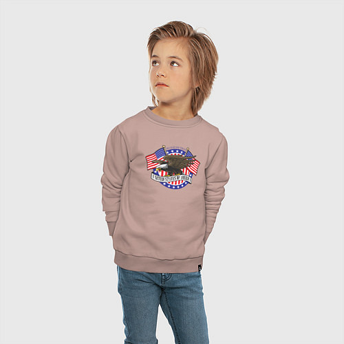 Детский свитшот United States of America / Пыльно-розовый – фото 4