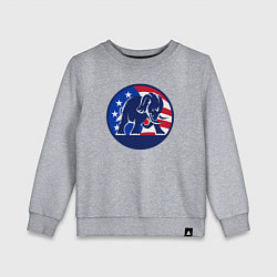 Свитшот хлопковый детский Слон - США, цвет: меланж