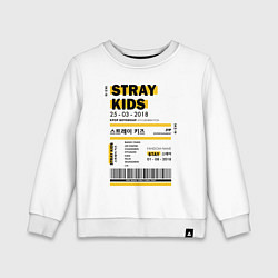 Детский свитшот Stray kids ticket