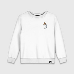 Детский свитшот Карманная какашка