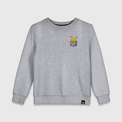 Детский свитшот Карманный пикачу