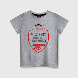 Детская футболка Arsenal: Victory Harmony