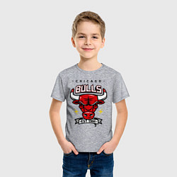 Футболка хлопковая детская Chicago Bulls est. 1966, цвет: меланж — фото 2
