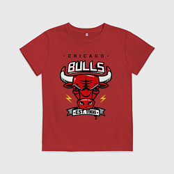 Детская футболка Chicago Bulls est. 1966