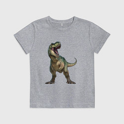 Футболка хлопковая детская Тираннозавр, цвет: меланж