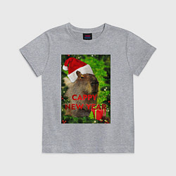 Футболка хлопковая детская Капибара happy new year capybara новый год, цвет: меланж