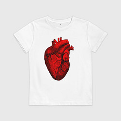 Детская футболка Сердце анатомическое