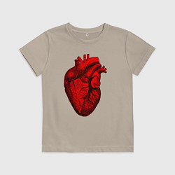 Футболка хлопковая детская Сердце анатомическое, цвет: миндальный