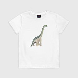 Футболка хлопковая детская Mamenchisaurus Мамэньсизавр маменчизавр, цвет: белый