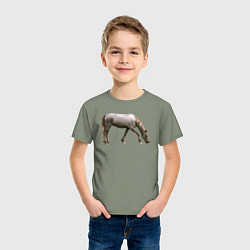 Футболка хлопковая детская Креольская лошадь, цвет: авокадо — фото 2