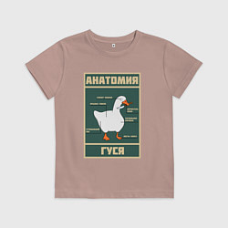 Детская футболка Анатомия гуся