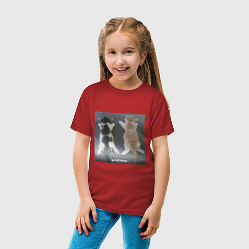Детская футболка Мемные коты умерчики / Красный – фото 4