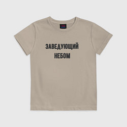 Футболка хлопковая детская Заведующий небом, цвет: миндальный