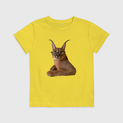 Детская футболка Каракет кот Шлепа