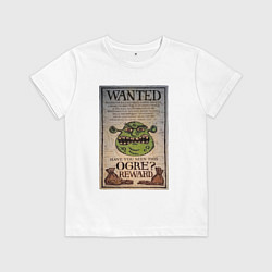 Детская футболка Разыскивается огр