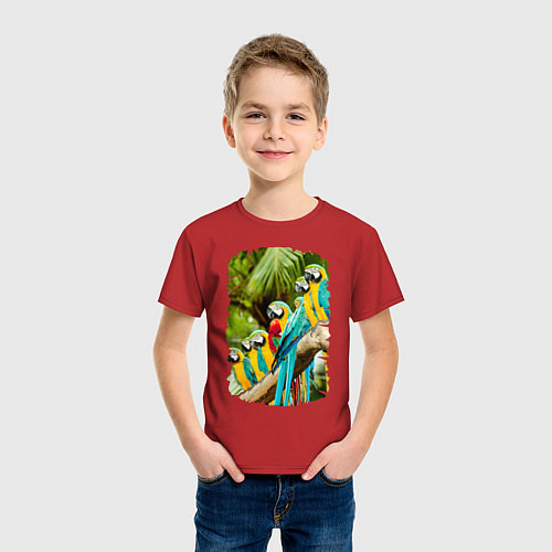 Детская футболка Экзотические попугаи / Красный – фото 3