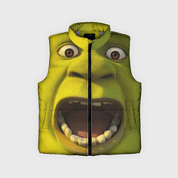 Детский жилет Shrek is Yelling, цвет: 3D-светло-серый