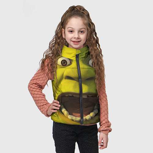 Детский жилет Shrek is Yelling / 3D-Светло-серый – фото 3