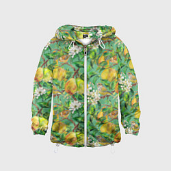 Ветровка с капюшоном детская Груши и птицы, цвет: 3D-белый