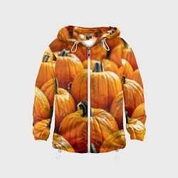 Ветровка с капюшоном детская Много тыкв, цвет: 3D-белый