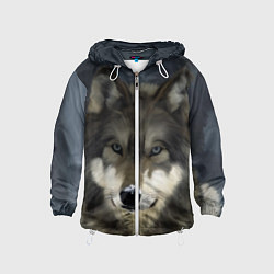 Ветровка с капюшоном детская Зимний волк, цвет: 3D-белый