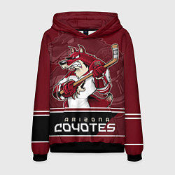 Мужская толстовка Arizona Coyotes