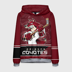 Толстовка-худи мужская Arizona Coyotes, цвет: 3D-меланж