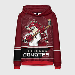 Мужская толстовка Arizona Coyotes